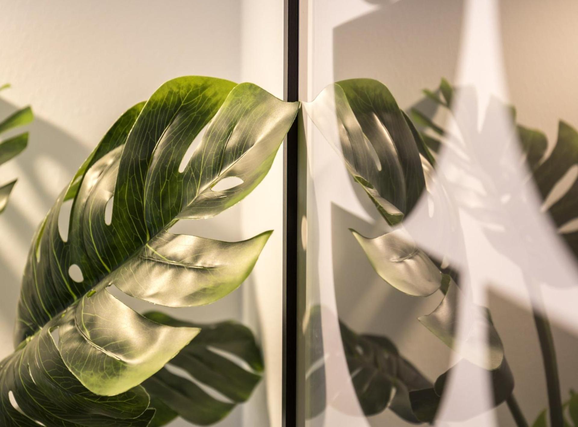 Picasso Suites Barcelona Ngoại thất bức ảnh